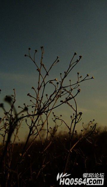 QQ��ͼ20121209230239.jpg