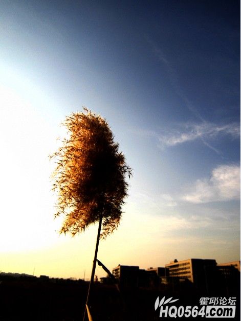 QQ��ͼ20121209230411.jpg