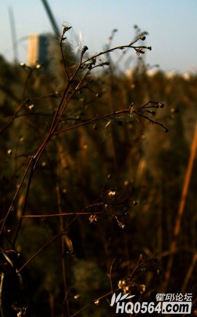 QQ��ͼ20121209230524.jpg