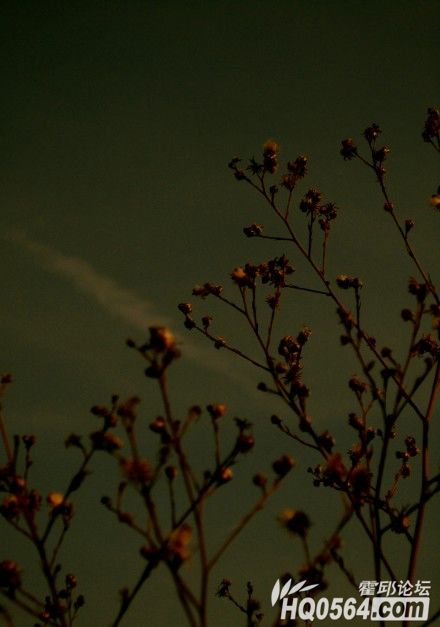 QQ��ͼ20121209230509.jpg