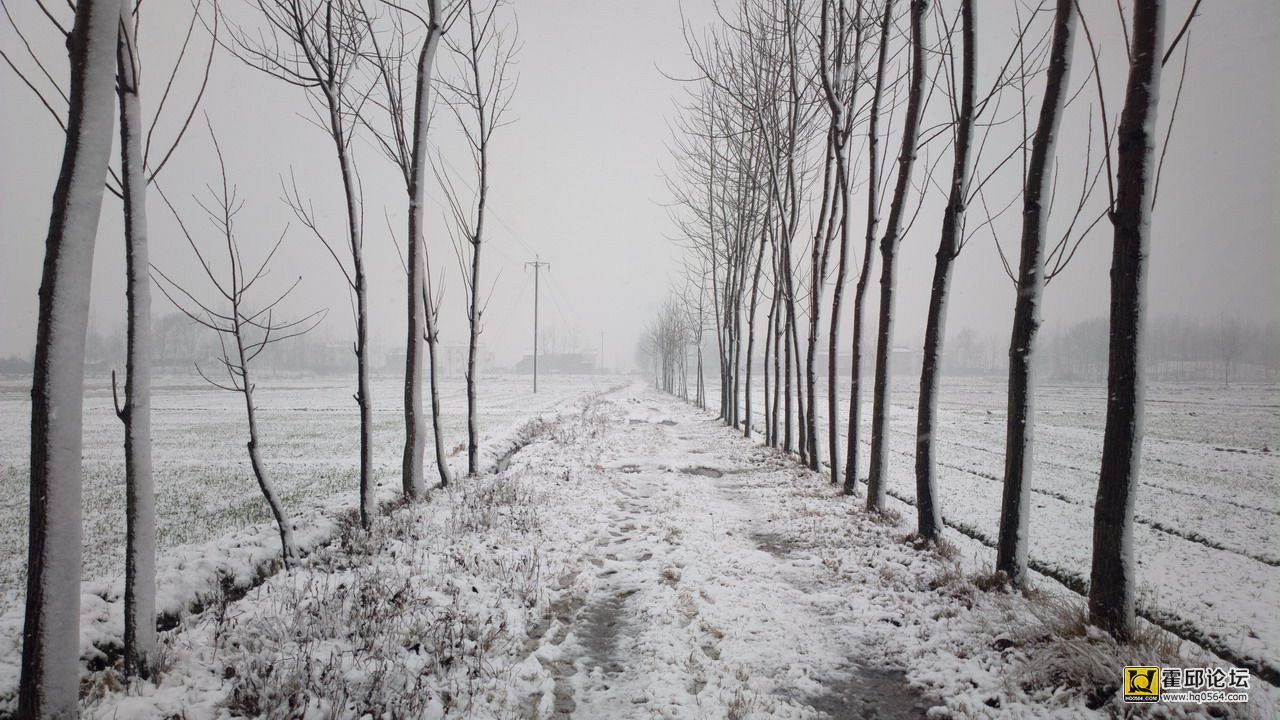 2012-12-29-0247.JPG