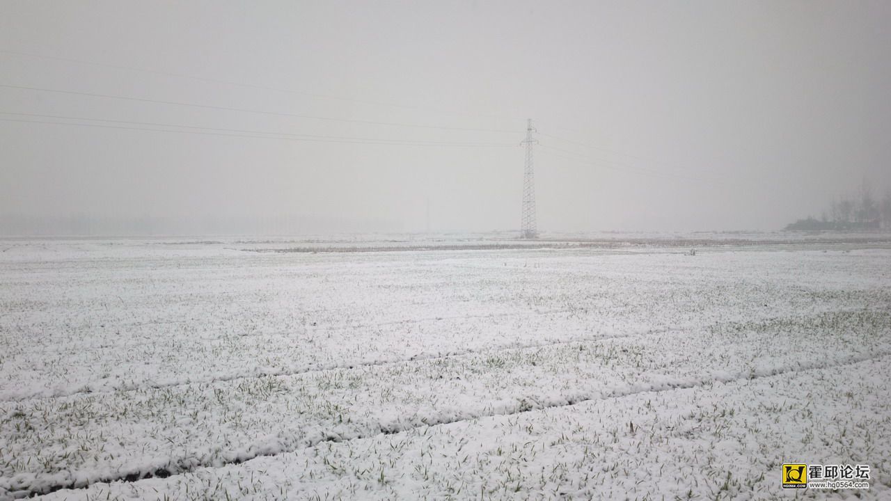 2012-12-29-0240.jpg