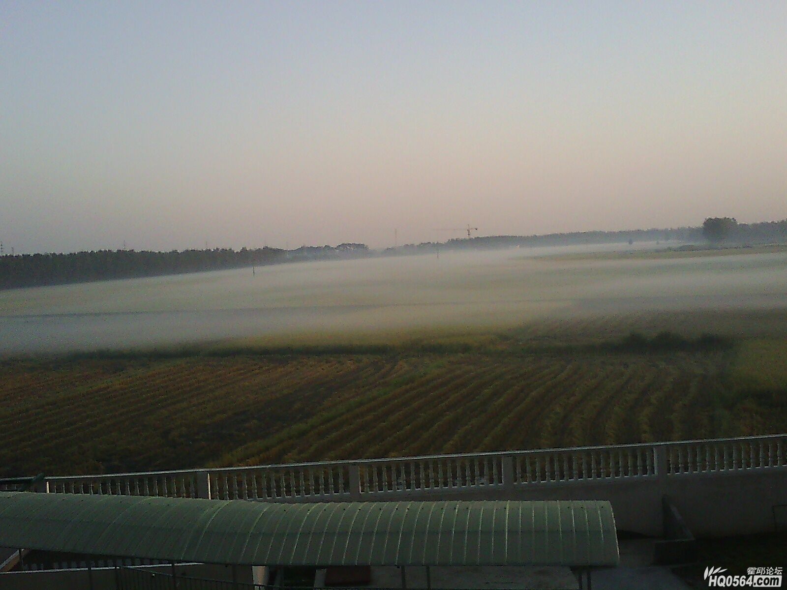 IMG0491A.jpg
