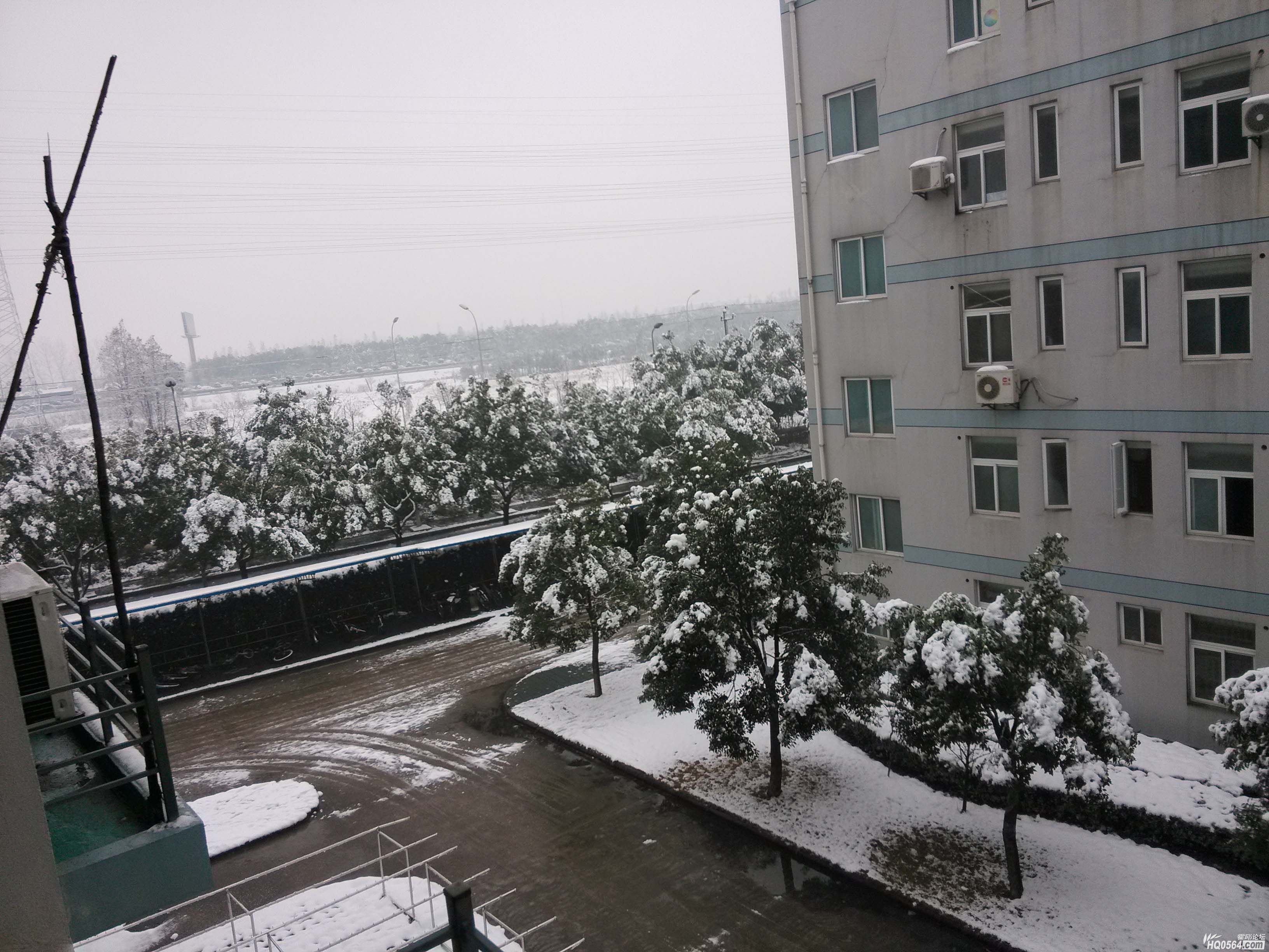 IMG_20130105_081235.jpg