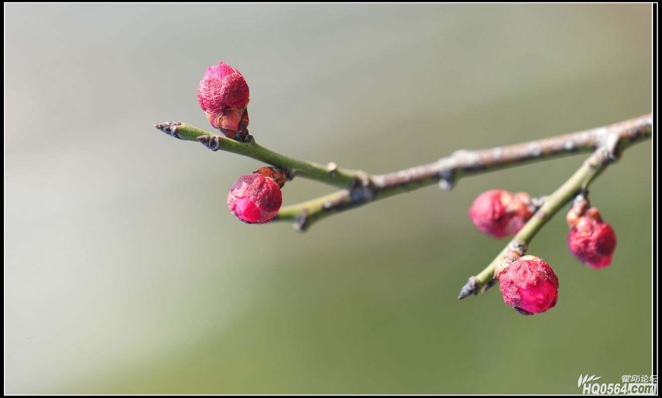 20130210 103.jpg