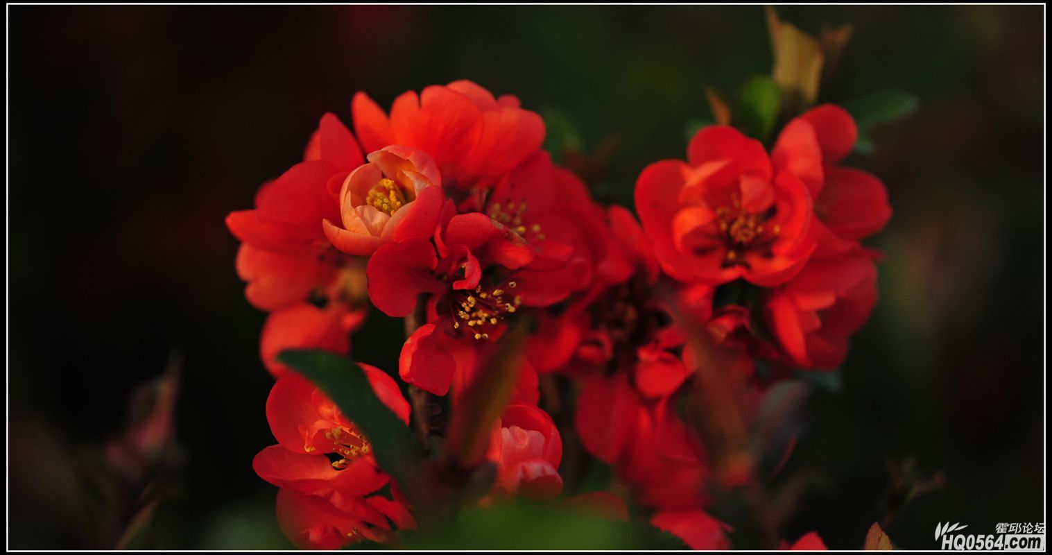 20130306 184.jpg