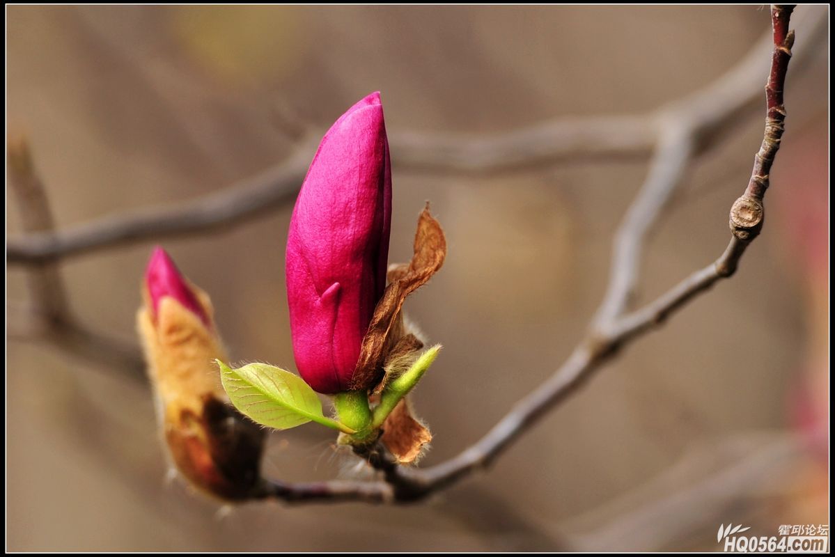 20130310 162.jpg
