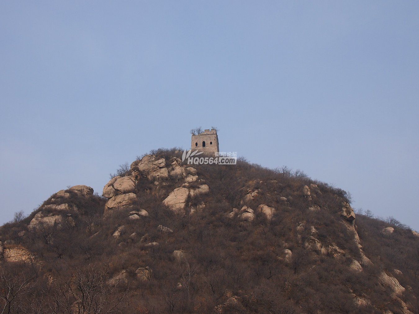 P3167010.JPG