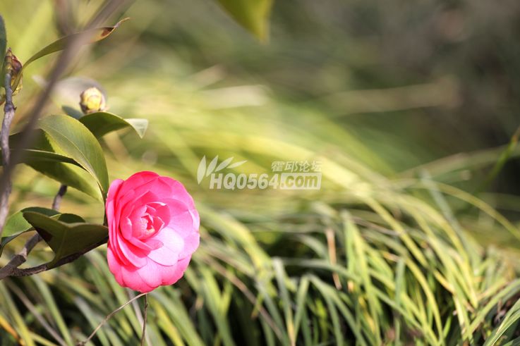 796dbcfa-04e2-46c7-98b9-09a5783de34f.jpg