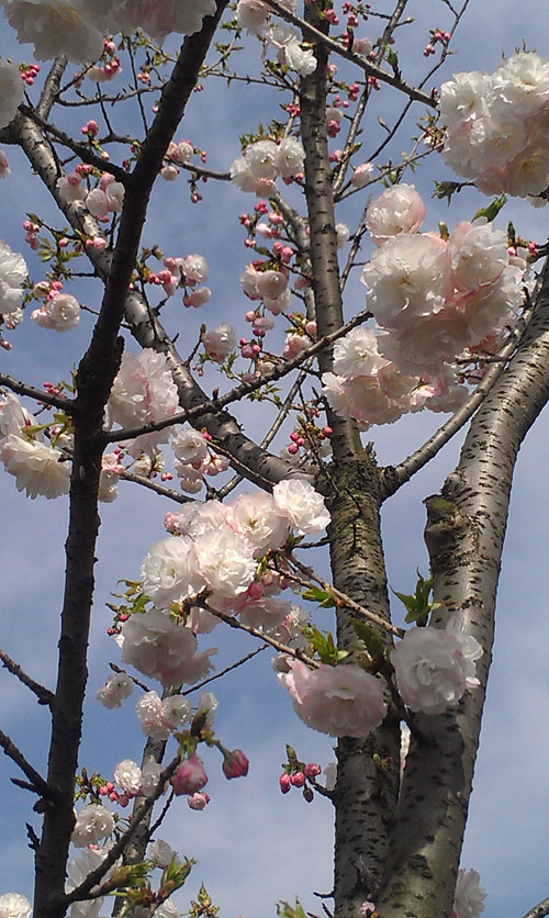 IMAG0539.jpg