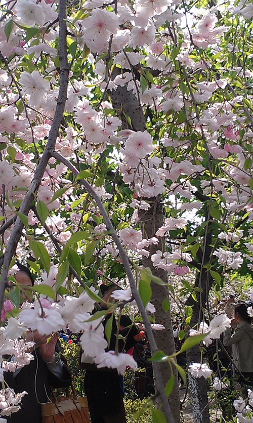 IMAG0546.jpg