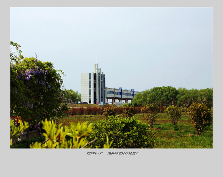 IMGP8410-1.jpg