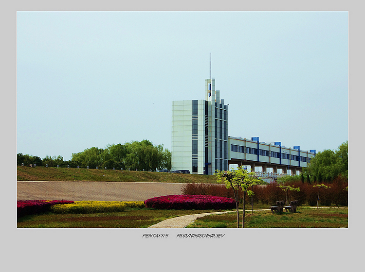 IMGP8438-1.jpg