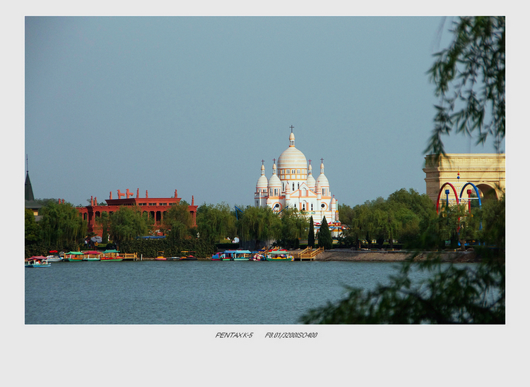 IMGP8524-1.jpg