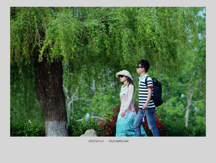 IMGP8616-1.jpg