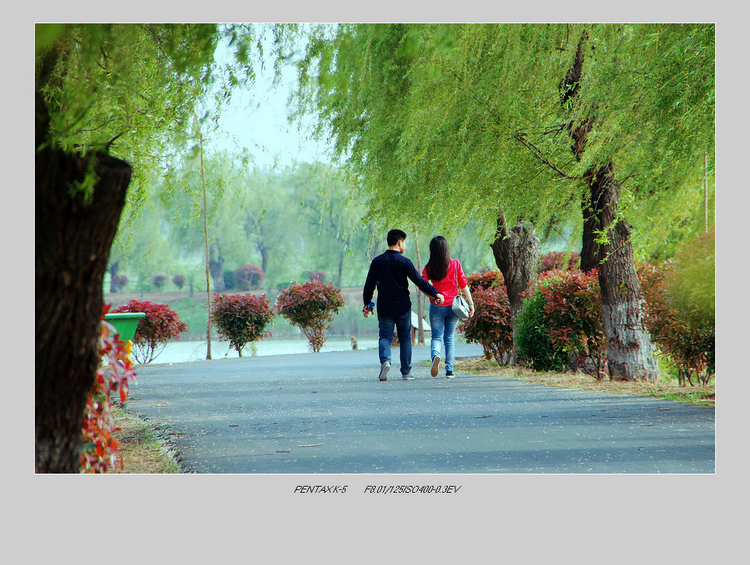IMGP8534-1.jpg