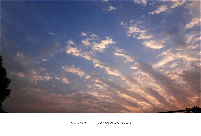 DSC01857-1.jpg