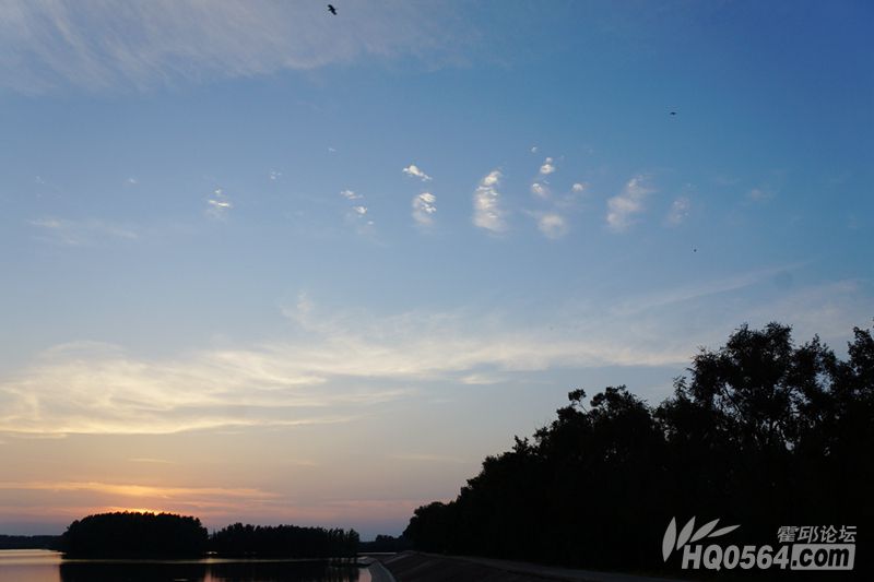 DSC08464.JPG