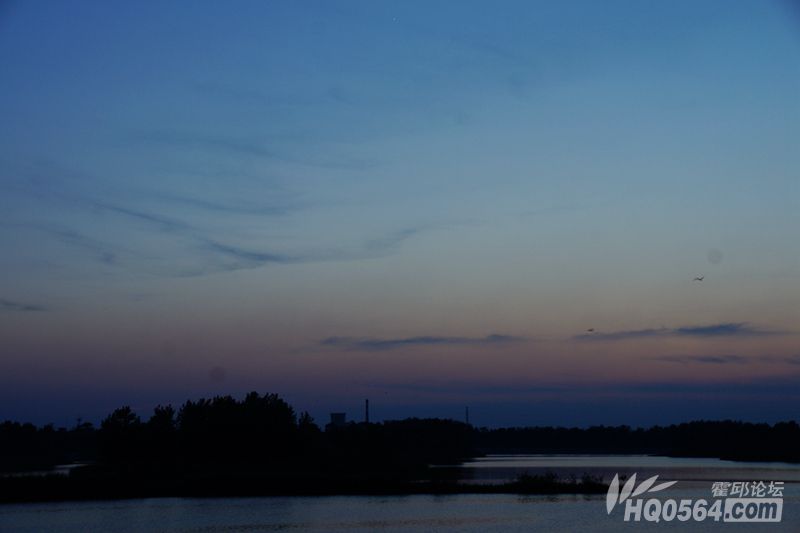 DSC08512.JPG