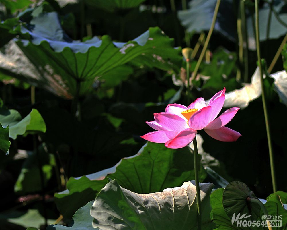 IMG_6342.jpg