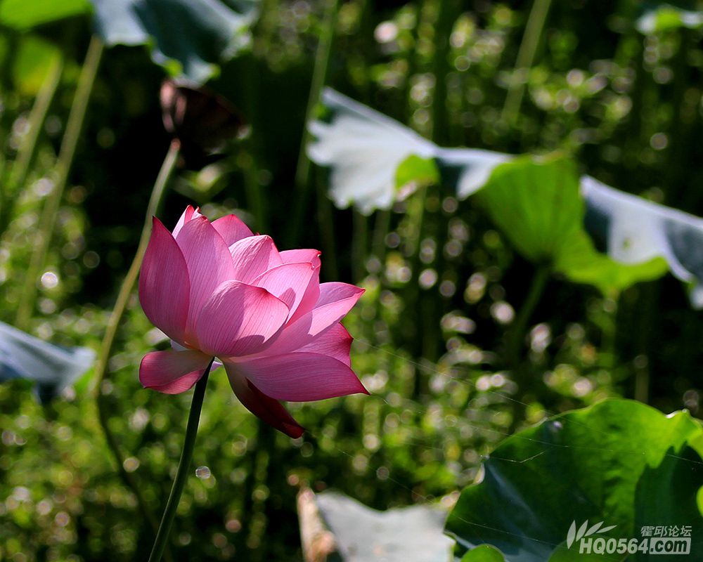IMG_6338.jpg