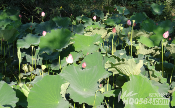 QQ��ͼ20130723184750.png