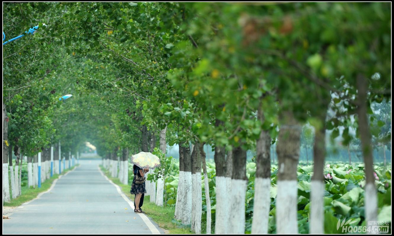 20130714 759.jpg