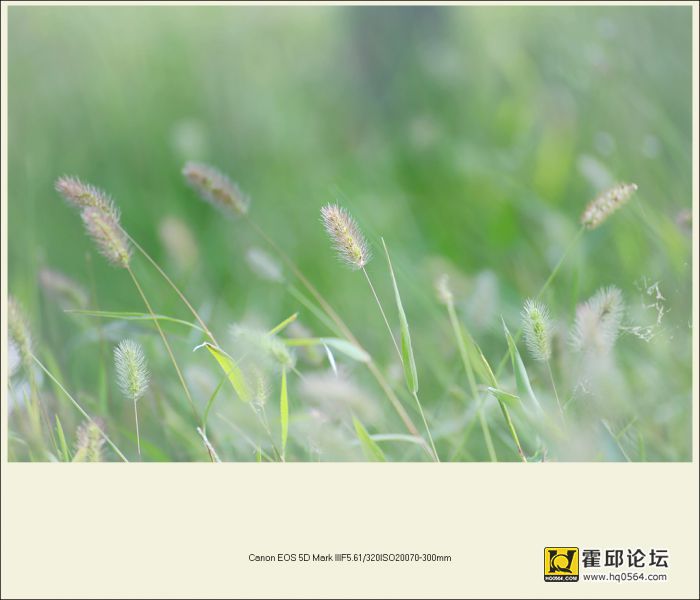 3G8A9461_����.jpg
