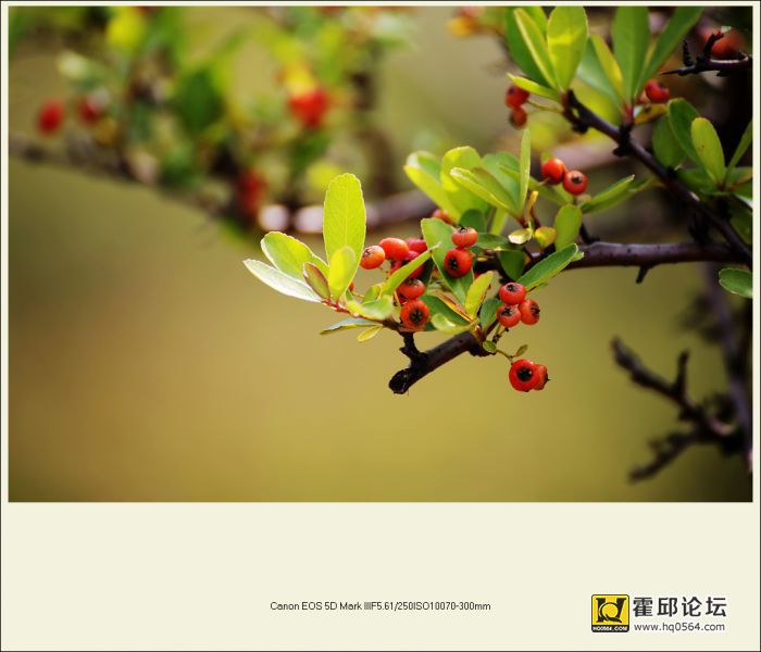 3G8A9486_����.jpg