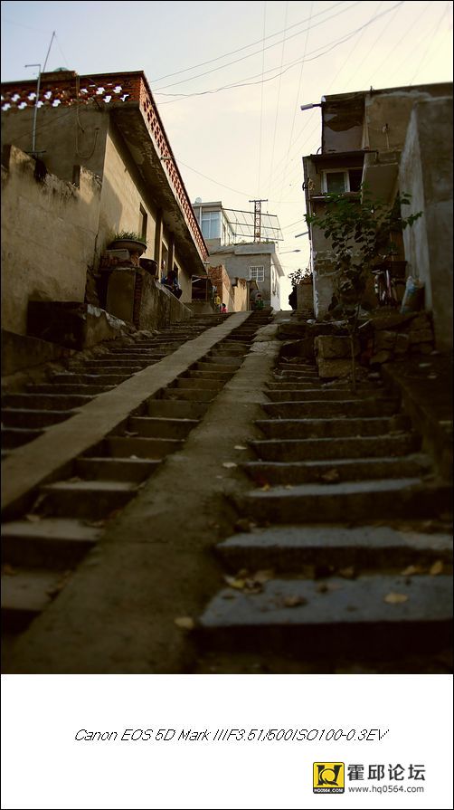 G8A0319.jpg