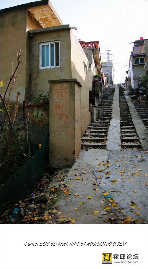 G8A0569.jpg