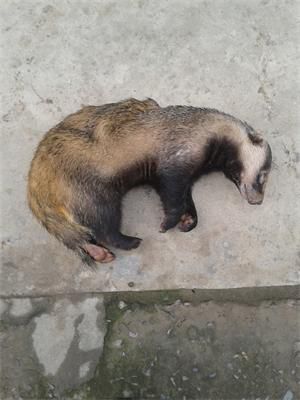 20131114_100936.jpg