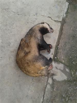 20131114_101243.jpg
