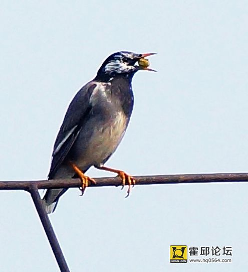 DSC00655.JPG