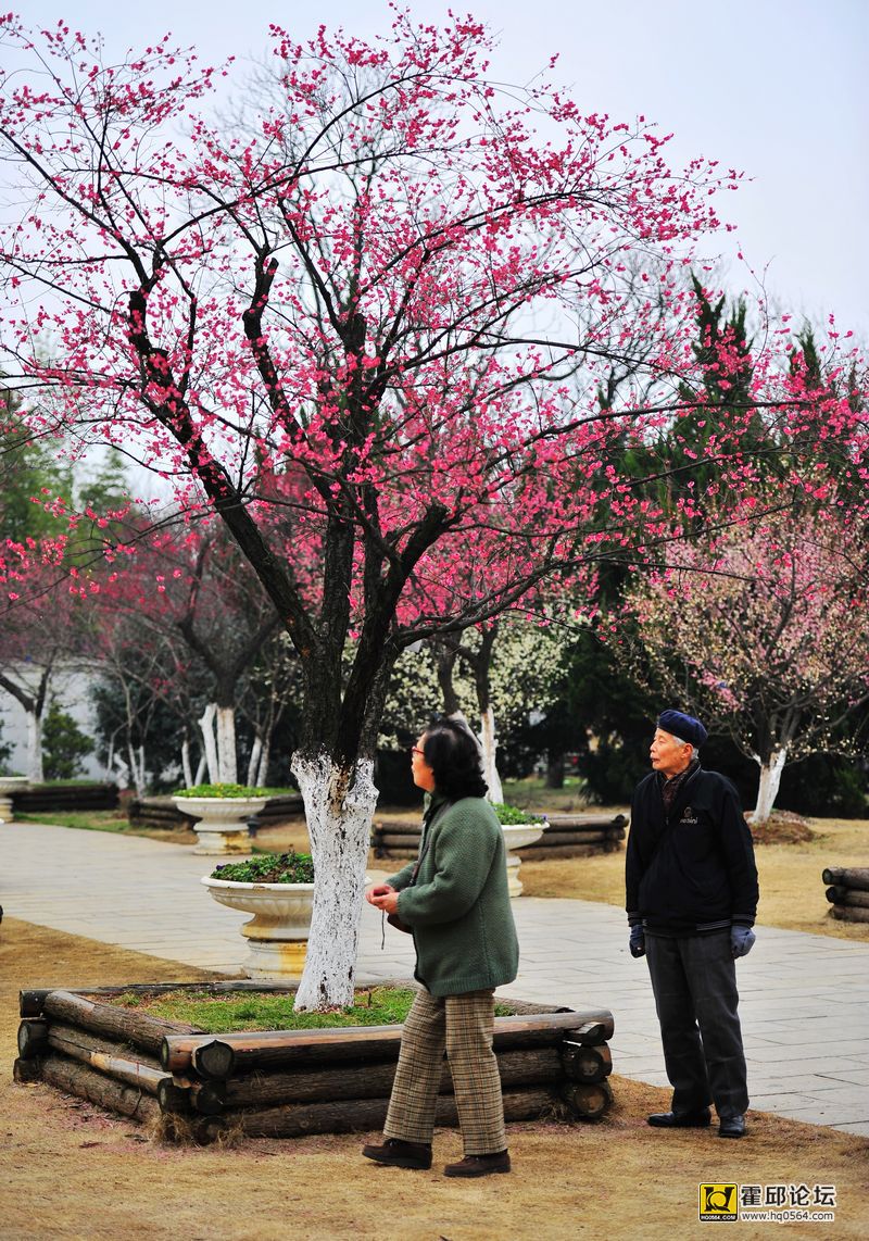 20140302 171.jpg