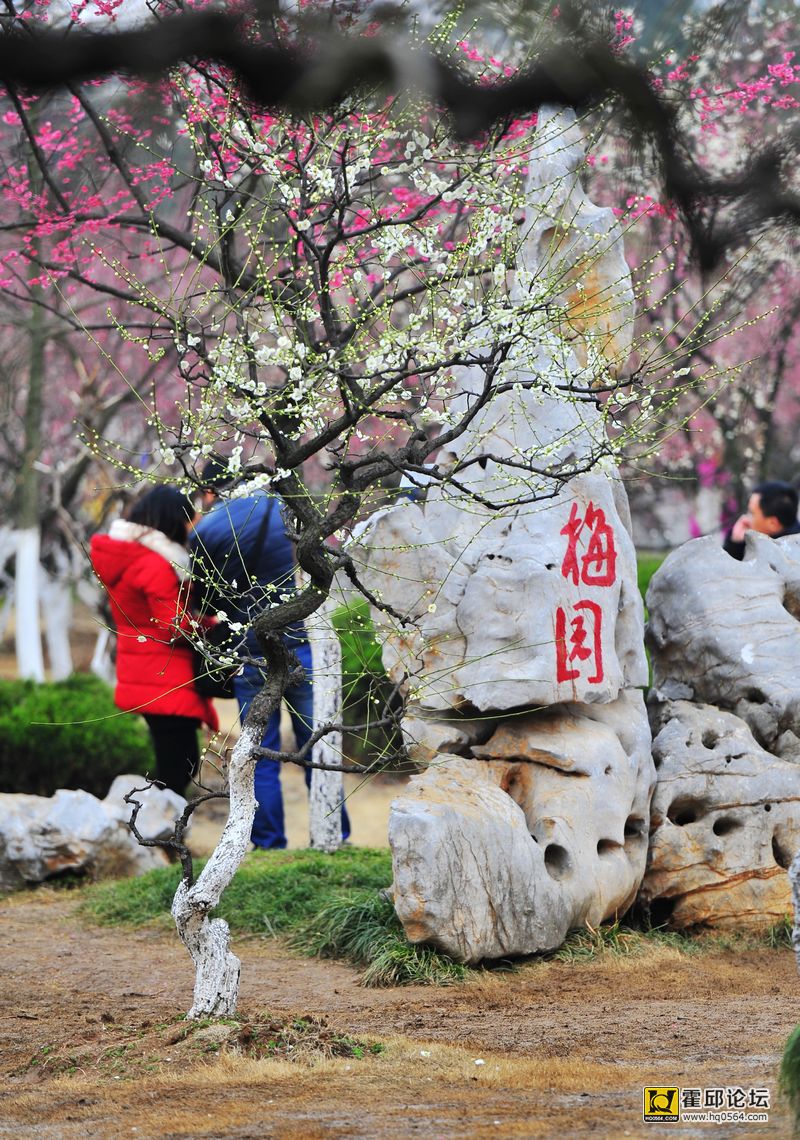 20140302 073.jpg