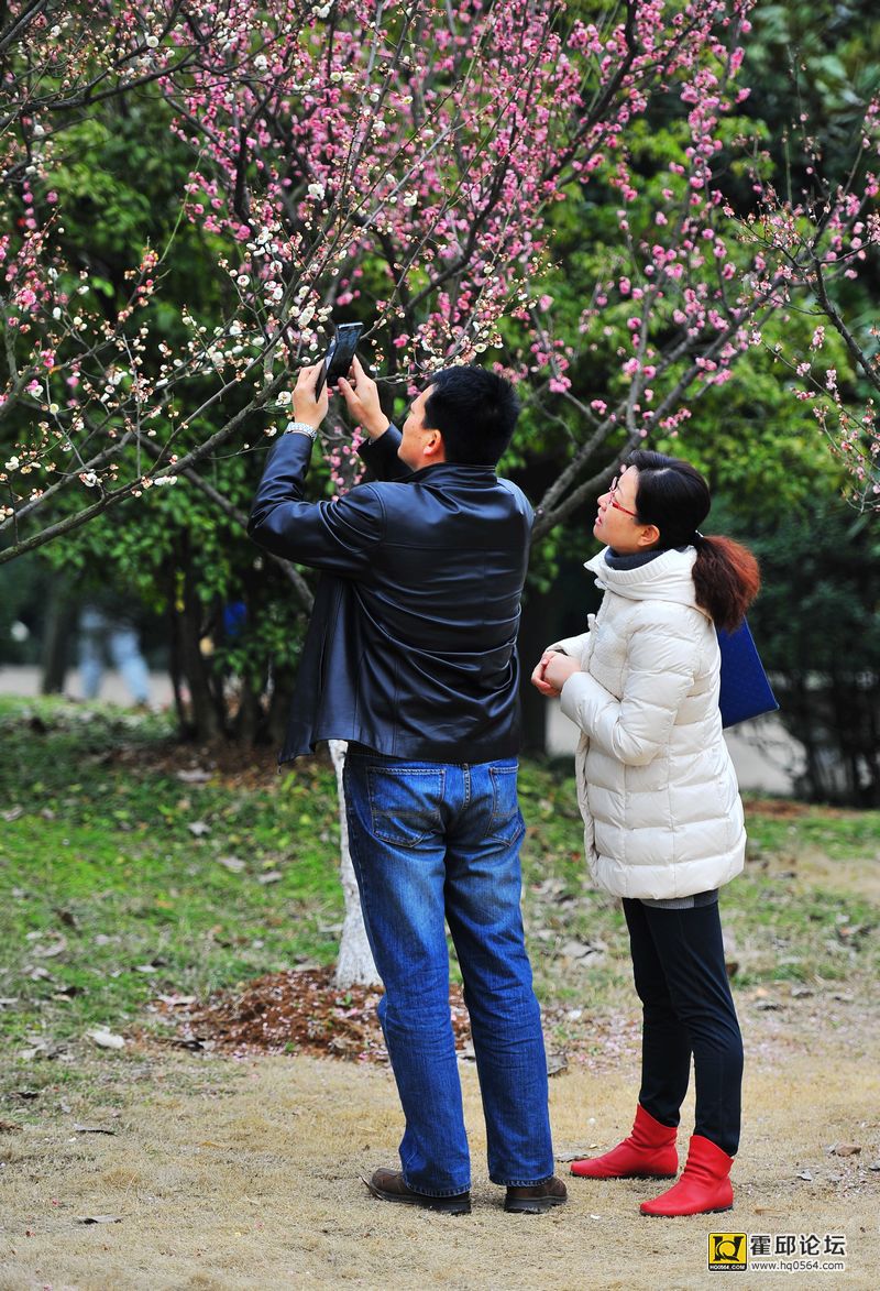 20140302 076.jpg