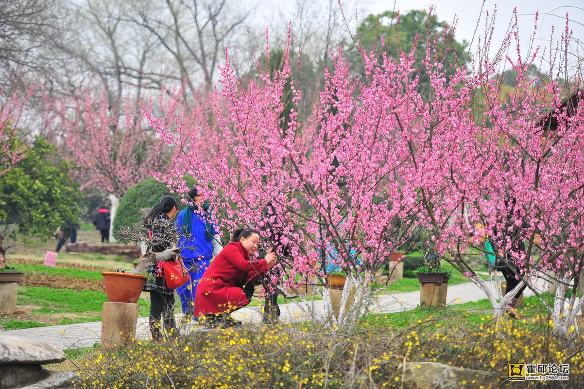 20140302 130.jpg
