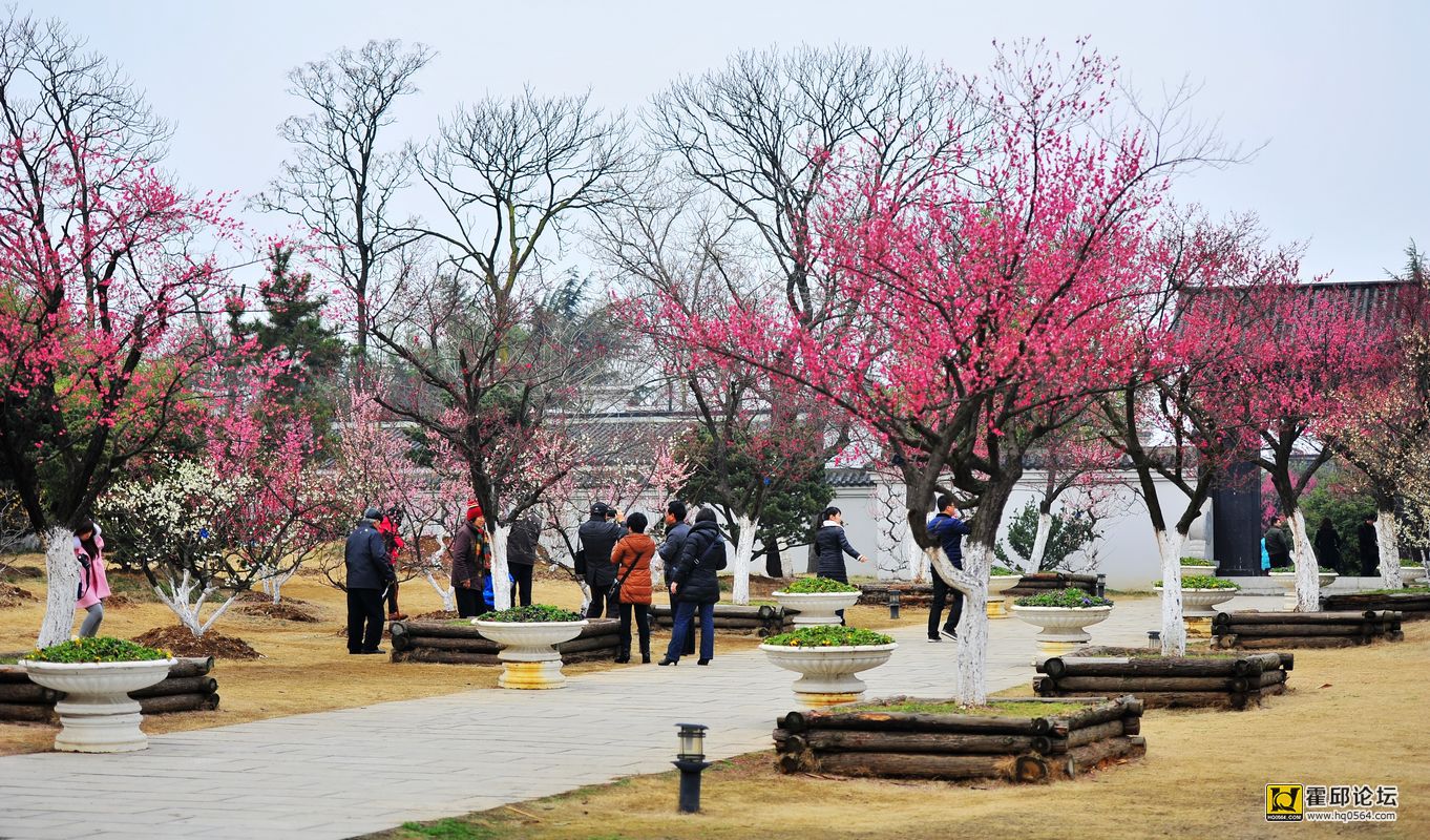20140302 154.jpg
