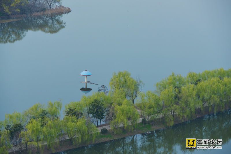 DSC_2937.jpg