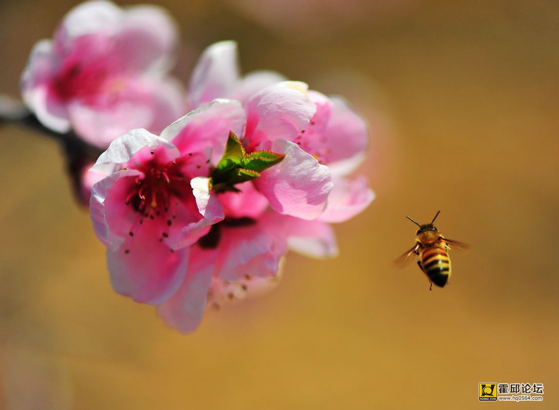 20140222 340.jpg