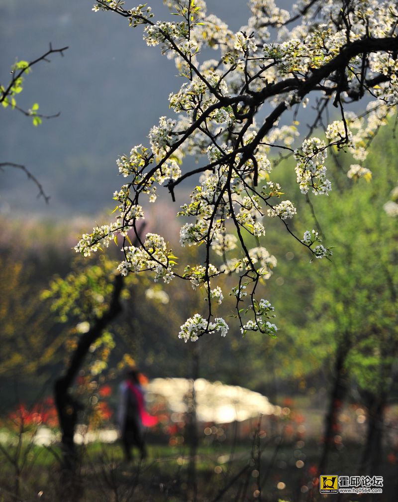 20140327 170.jpg