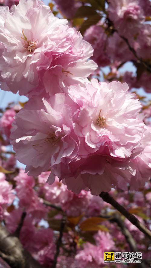 20140406_144843.jpg