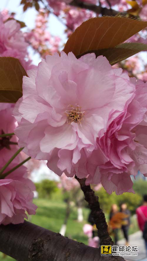 20140406_144856.jpg