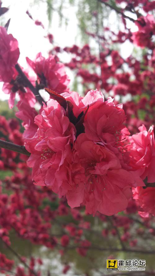 20140406_144943.jpg