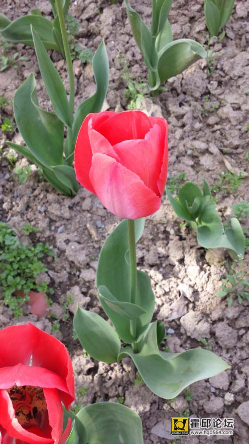 20140406_151235.jpg