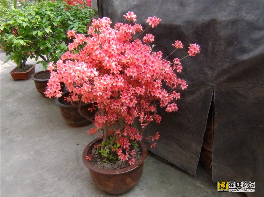 QQͼƬ20140410191138.jpg