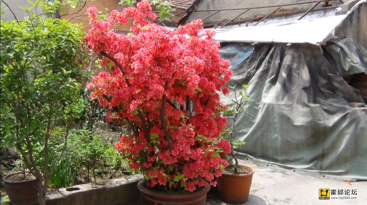 QQͼƬ20140410190936.jpg
