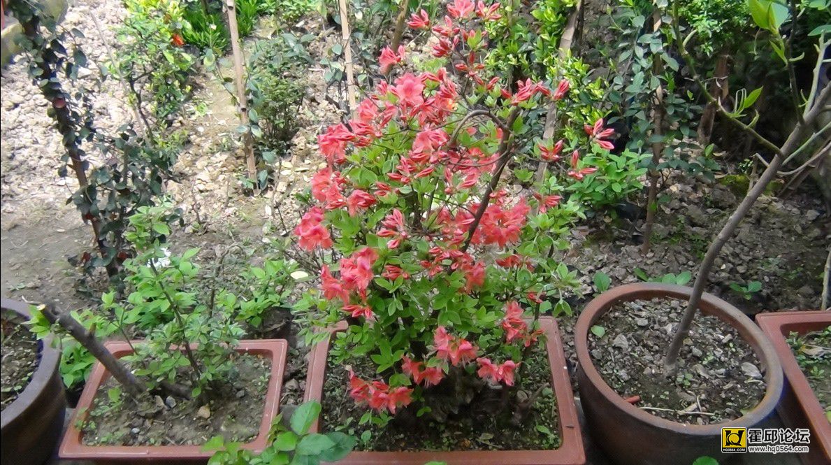 QQͼƬ20140410191003.jpg