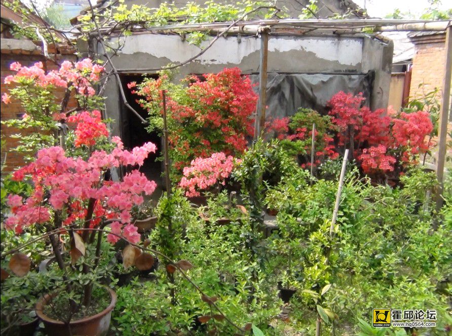 QQͼƬ20140410191114.jpg